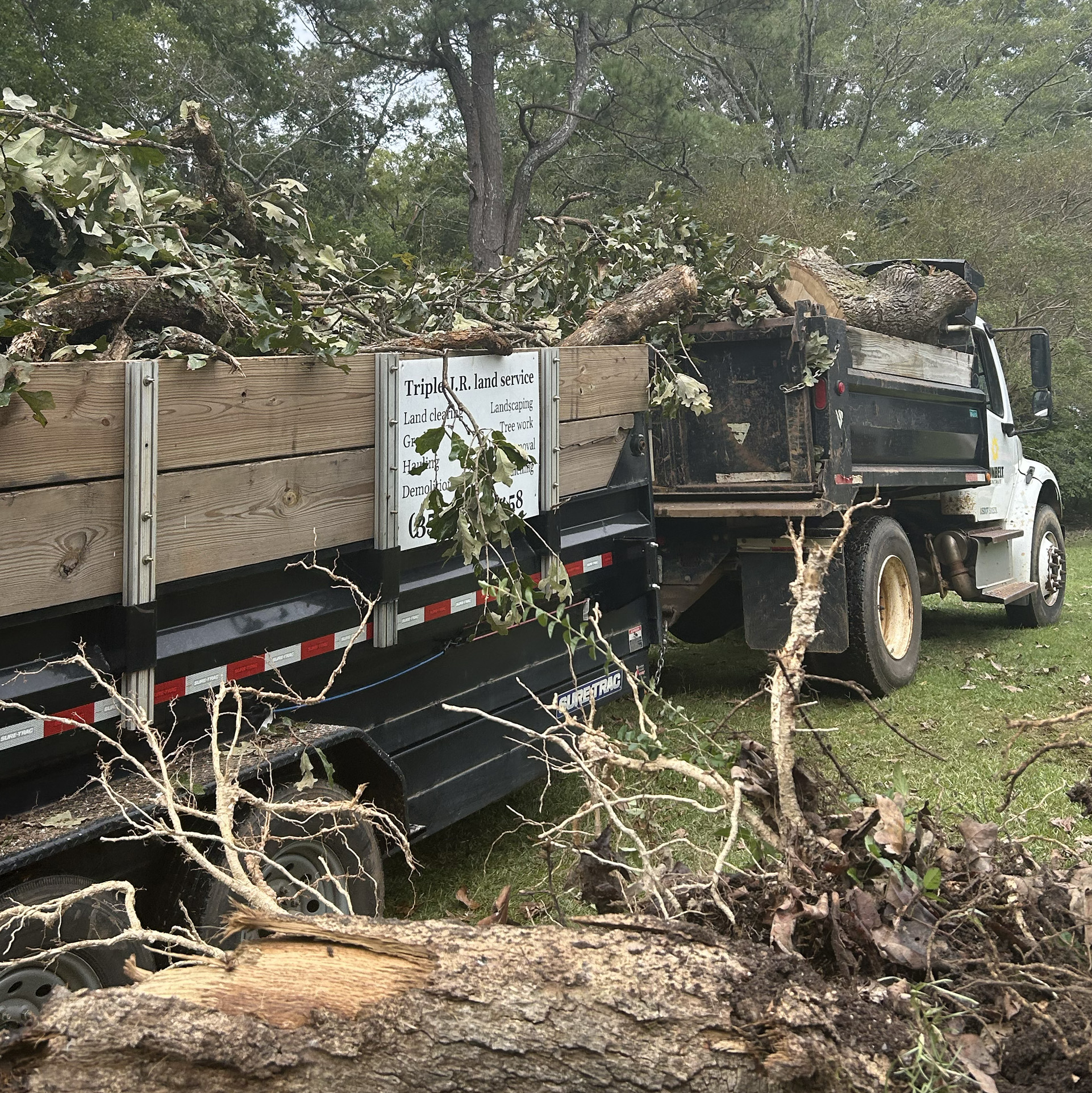 Dump truck filled with tree branches and debris in a wooded area.