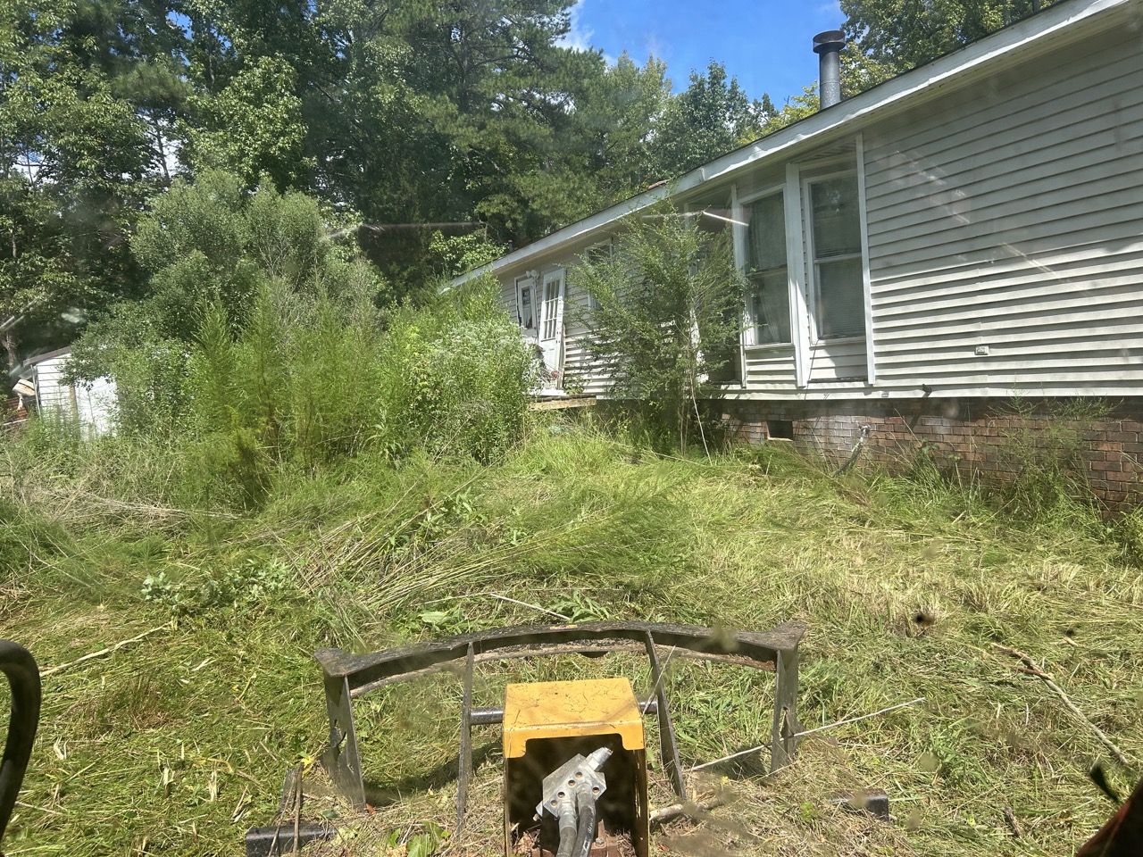 View of an overgrown yard with tall grass and bushes in front of a house.