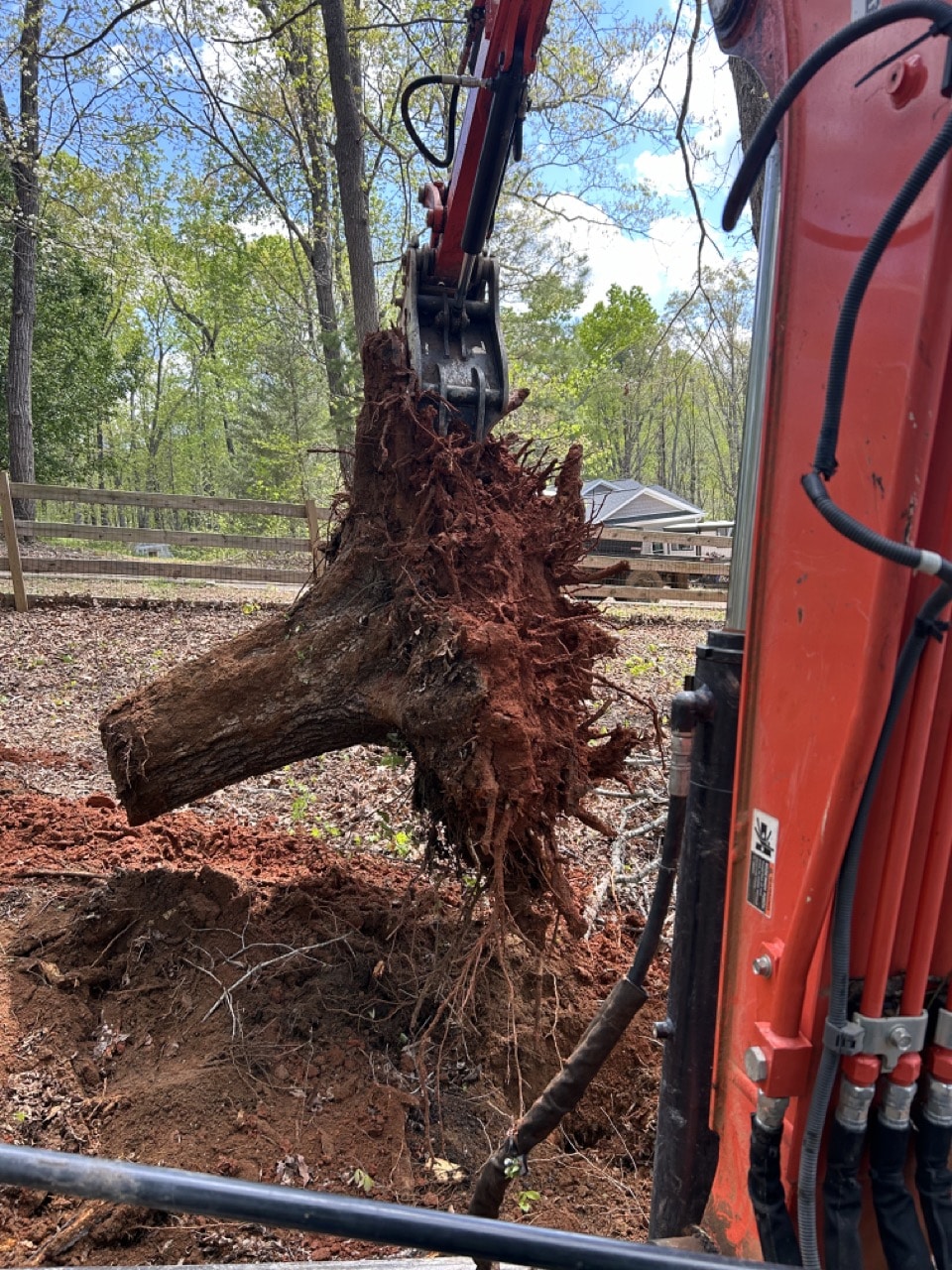Excavator lifting a large tree stump with exposed roots from the ground.